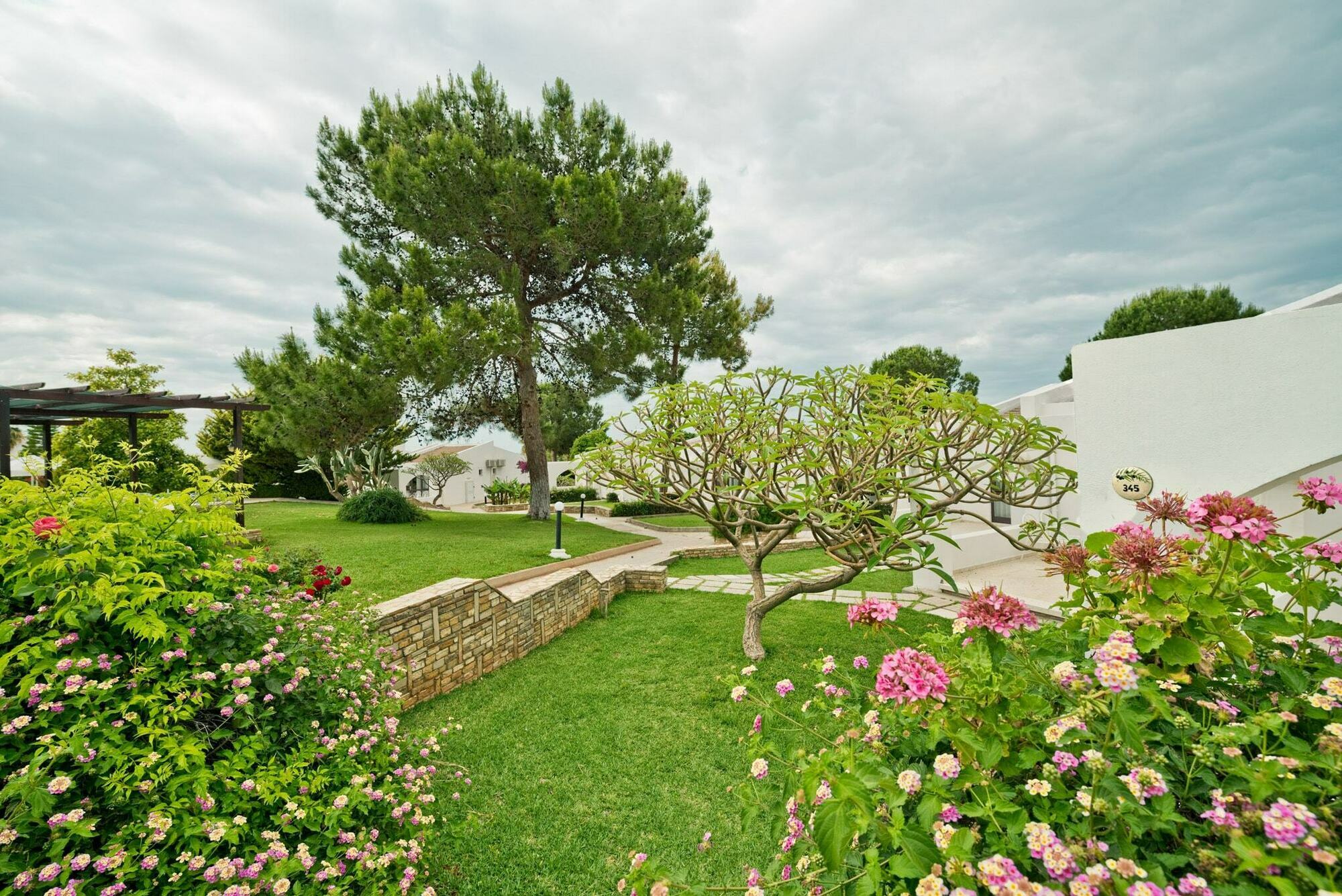 The Olive Tree Hotel Agios Epiktitos Eksteriør billede